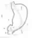 Fig. 09 - Ultrasonic endoscope biopsy system with treatment tool having various rigidity sections