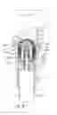 Fig. 09 - Apparatus and method for cinching a straight staple line