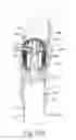 Fig. 22 - Apparatus and method for cinching a straight staple line