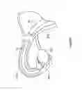 Fig. 258 - Robotic catheter system and methods