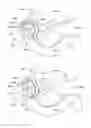 Fig. 335 - Robotic catheter system and methods
