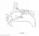 Fig. 362 - Robotic catheter system and methods