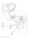 Fig. 29 - Surgical-manipulator operating device and surgical-manipulator system