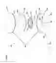 Fig. 25 - Wound closure product