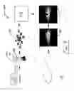 Fig. 08 - Methods and systems for employing artificial intelligence in automated orthodontic diagnosis and treatment planning
