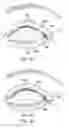 Fig. 20 - Combination treatment systems