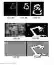Fig. 06 - Active confocal imaging systems and methods for visual prostheses
