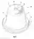 Fig. 04 - Ear Cleaner