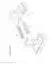 Fig. 02 - Angularly adjustable device for stabilizing impaled objects in the human body