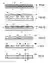 Fig. 05 - Method of assembling at least two units, and a corresponding assembled structure