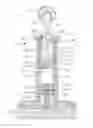 Fig. 01 - Fascia manipulation device and method