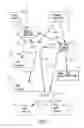Fig. 07 - EXTERNAL COUNTERPULSATION APPARATUS