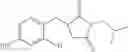 Fig. 18 - Composition in the form of nano or micro emulsion or with lamellar structure