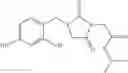 Fig. 22 - Composition in the form of nano or micro emulsion or with lamellar structure