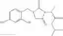 Fig. 23 - Composition in the form of nano or micro emulsion or with lamellar structure