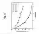 Fig. 07 - Clevidipine nanoparticles and pharmaceutical compositions thereof