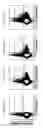 Fig. 33 - Nanostructures for modulating intercellular communication and uses thereof