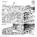 Fig. 35 - Nanostructures for modulating intercellular communication and uses thereof