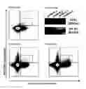 Fig. 37 - Nanostructures for modulating intercellular communication and uses thereof