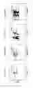 Fig. 45 - Nanostructures for modulating intercellular communication and uses thereof