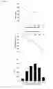 Fig. 09 - NANOCAPSULAR FORMULATION OF ACTIVE PHARMACEUTICAL INGREDIENTS