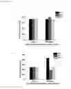 Fig. 10 - NANOCAPSULAR FORMULATION OF ACTIVE PHARMACEUTICAL INGREDIENTS