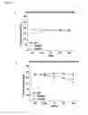 Fig. 12 - NANOCAPSULAR FORMULATION OF ACTIVE PHARMACEUTICAL INGREDIENTS