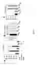 Fig. 07 - BENZENETRICARBOXYLIC ACID AND METHODS OF USE