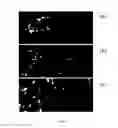 Fig. 02 - Methods of treating neurodevelopmental diseases and disorders