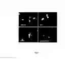 Fig. 06 - Methods of treating neurodevelopmental diseases and disorders