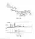 Fig. 13 - Crystalline solids of a metAP-2 inhibitor and methods of making and using same