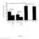 Fig. 07 - COMPOSITION FOR IMPROVING BIOAVAILBILITY AND EFFICACY OF TAXANE