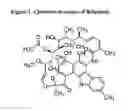 Fig. 02 - FORMULATIONS OF RIFAXIMIN AND USES THEREOF
