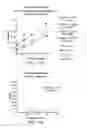 Fig. 73 - FORMULATIONS OF RIFAXIMIN AND USES THEREOF