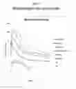 Fig. 79 - FORMULATIONS OF RIFAXIMIN AND USES THEREOF
