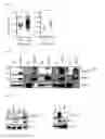Fig. 02 - Combination therapy for MDS