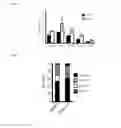 Fig. 10 - Combination therapy for MDS