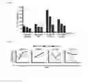 Fig. 11 - Combination therapy for MDS