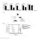 Fig. 13 - Combination therapy for MDS