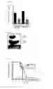 Fig. 19 - Combination therapy for MDS