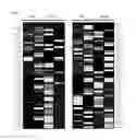 Fig. 20 - Combination therapy for MDS