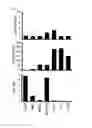 Fig. 27 - Combination therapy for MDS