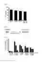 Fig. 32 - Combination therapy for MDS