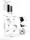 Fig. 35 - Combination therapy for MDS