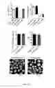 Fig. 06 - MODIFICATION OF DRUGS FOR INCORPORATION INTO NANOPARTICLES