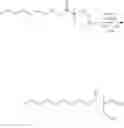 Fig. 17 - MODIFICATION OF DRUGS FOR INCORPORATION INTO NANOPARTICLES