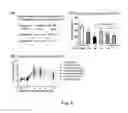 Fig. 09 - extract, preparation method for same, and use thereof in sugar reduction, weight loss, and lipid reduction