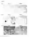 Fig. 08 - Topical formulations for increasing the dermal concentration of hyaluronic acid