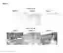Fig. 12 - Topical formulations for increasing the dermal concentration of hyaluronic acid