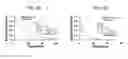 Fig. 06 - NITRITE AND NITRITE-METHEME THERAPY TO DETOXIFY STROMA-FREE HEMOGLOBIN BASED BLOOD SUBSTITUTES